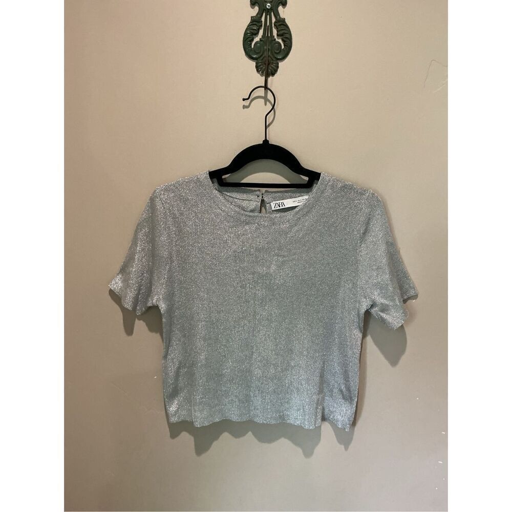 ZARA silver Top